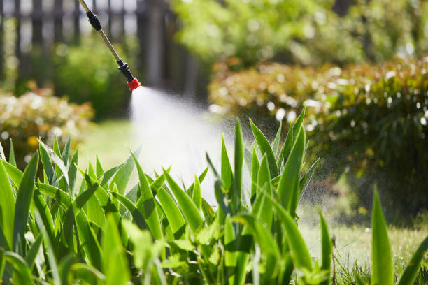 Tamper-Resistant Bait Stations for Rodents in Washburn