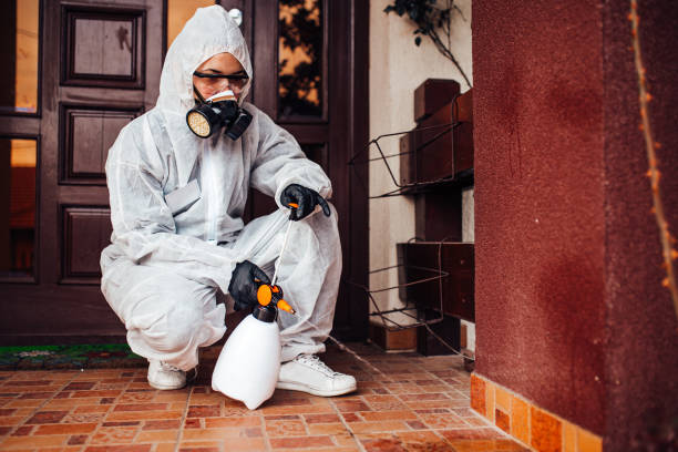 Attic and Crawl Space Rodent Treatment in Washburn