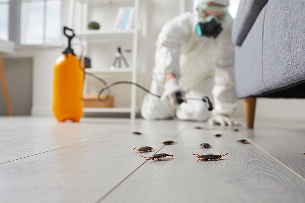 Commercial Rodent Management in Washburn